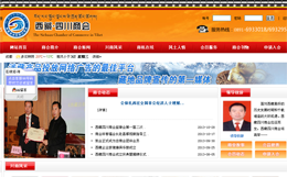西藏四川商会-明腾网络建设